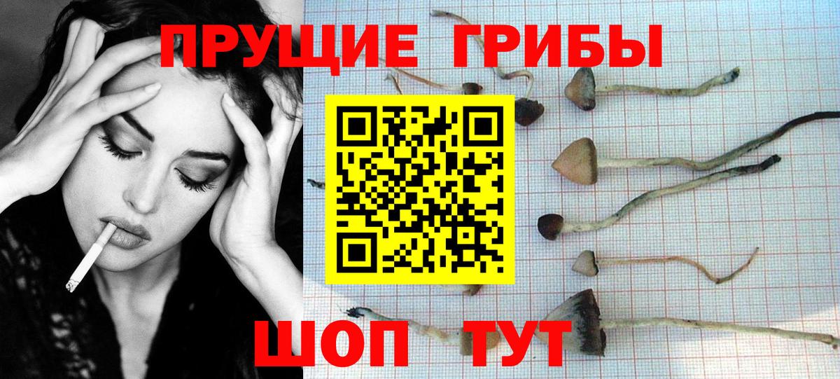 Галлюциногенные грибы мухоморы Мирный