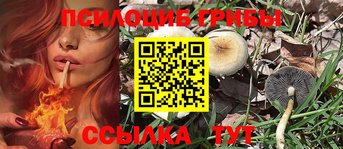 Мирный  Псилоцибиновые грибы мухоморы  Вход с VPN 