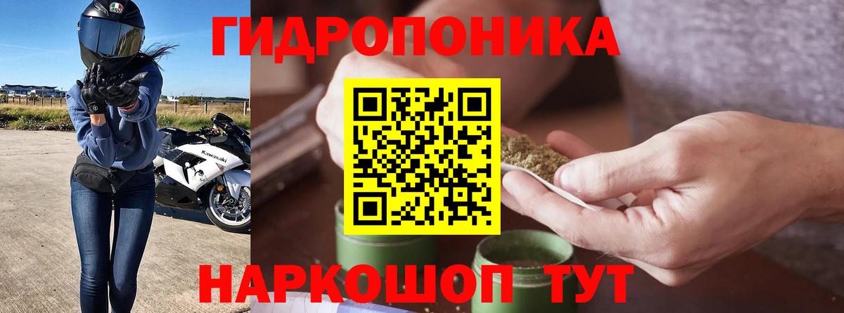 Конопля LSD WEED Мирный
